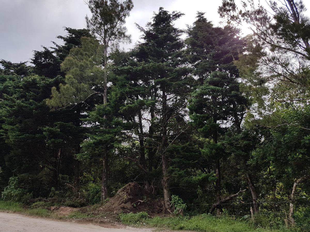 Greemount Hotel Monteverde Εξωτερικό φωτογραφία