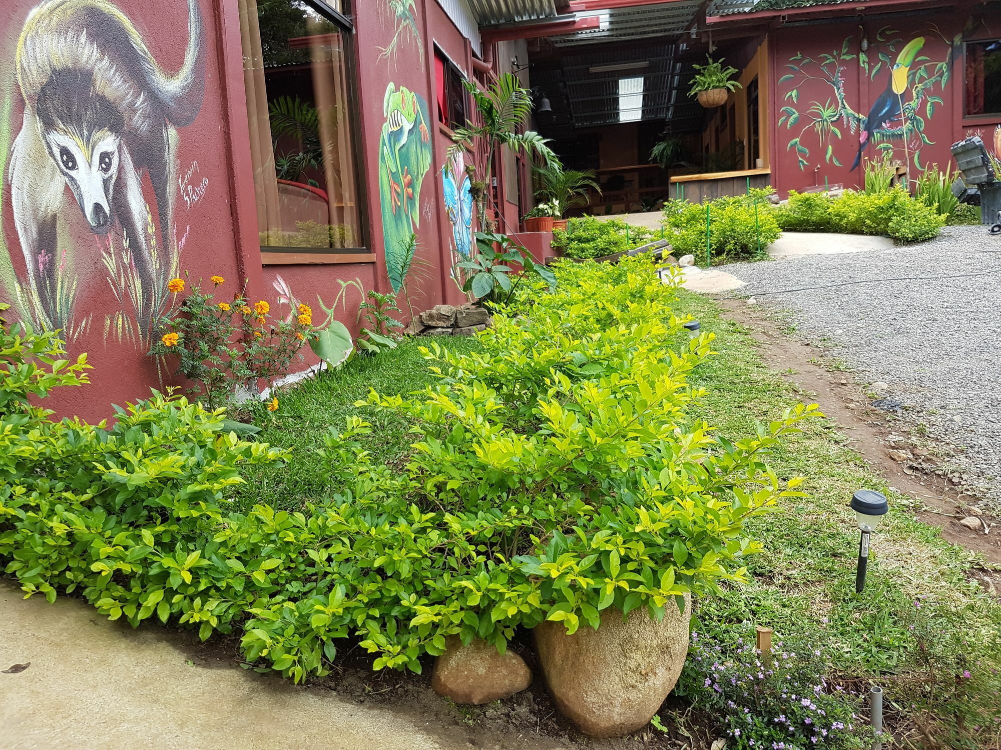 Greemount Hotel Monteverde Εξωτερικό φωτογραφία